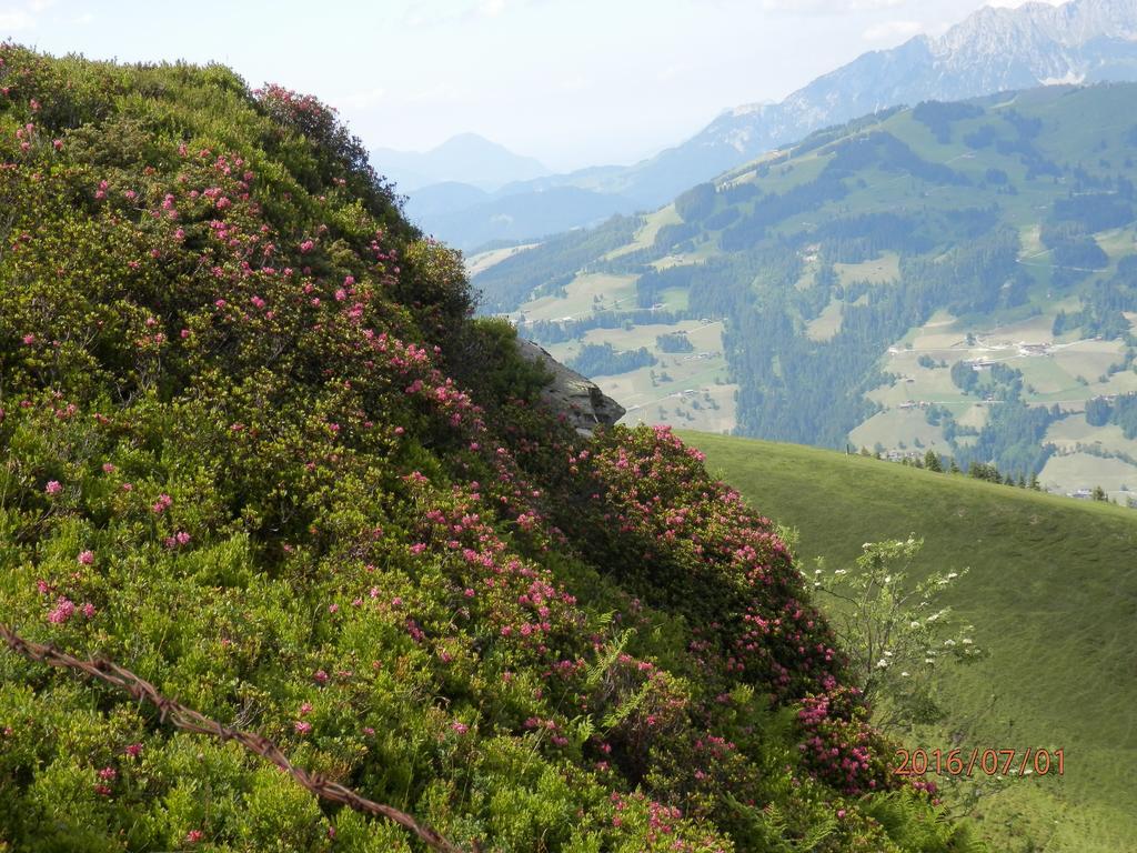 Pension Sporer Westendorf Kültér fotó